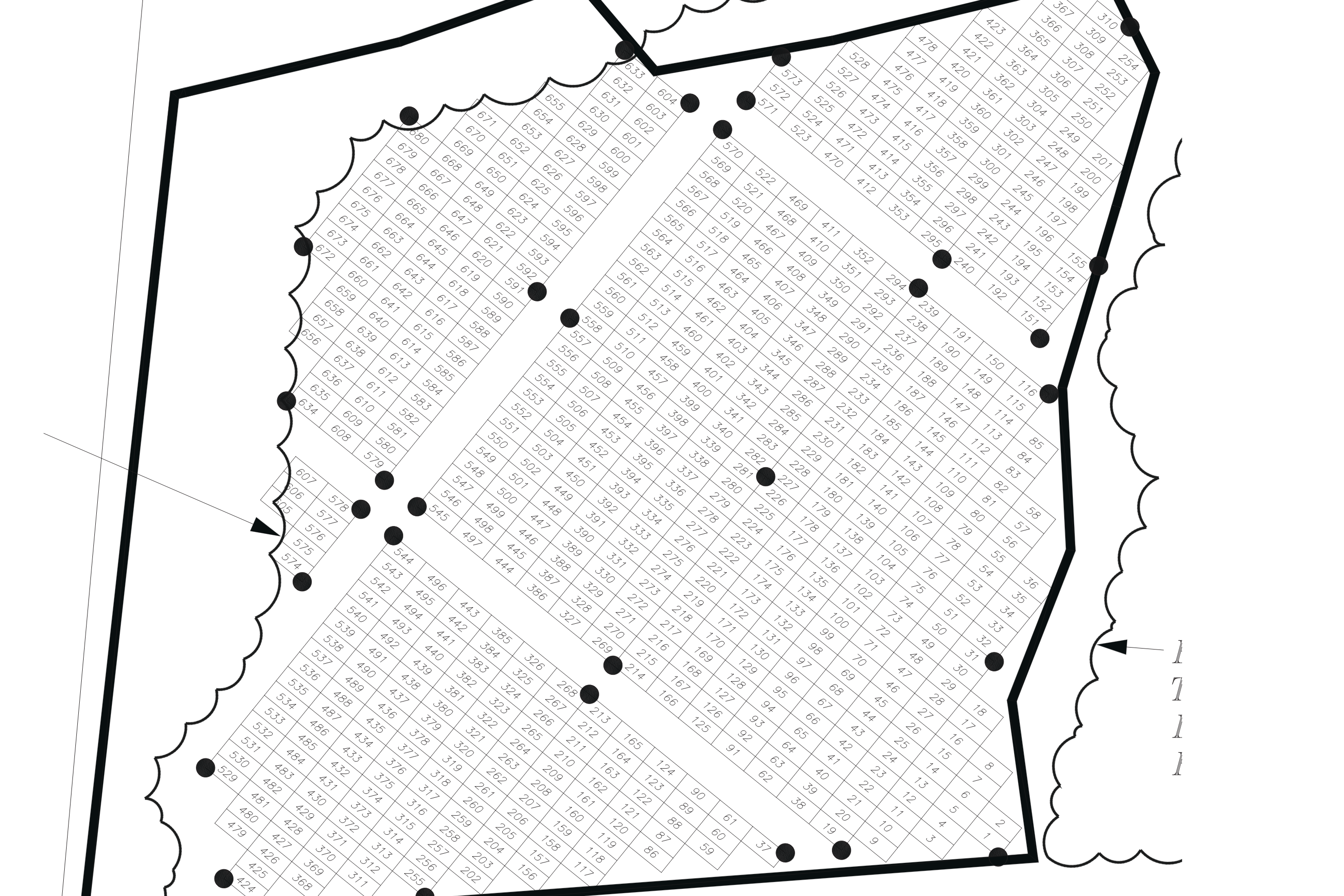 /cemeteries_media/1750858458/burial_grounds/crop/Graveyard_BW_Map_1753126176.png