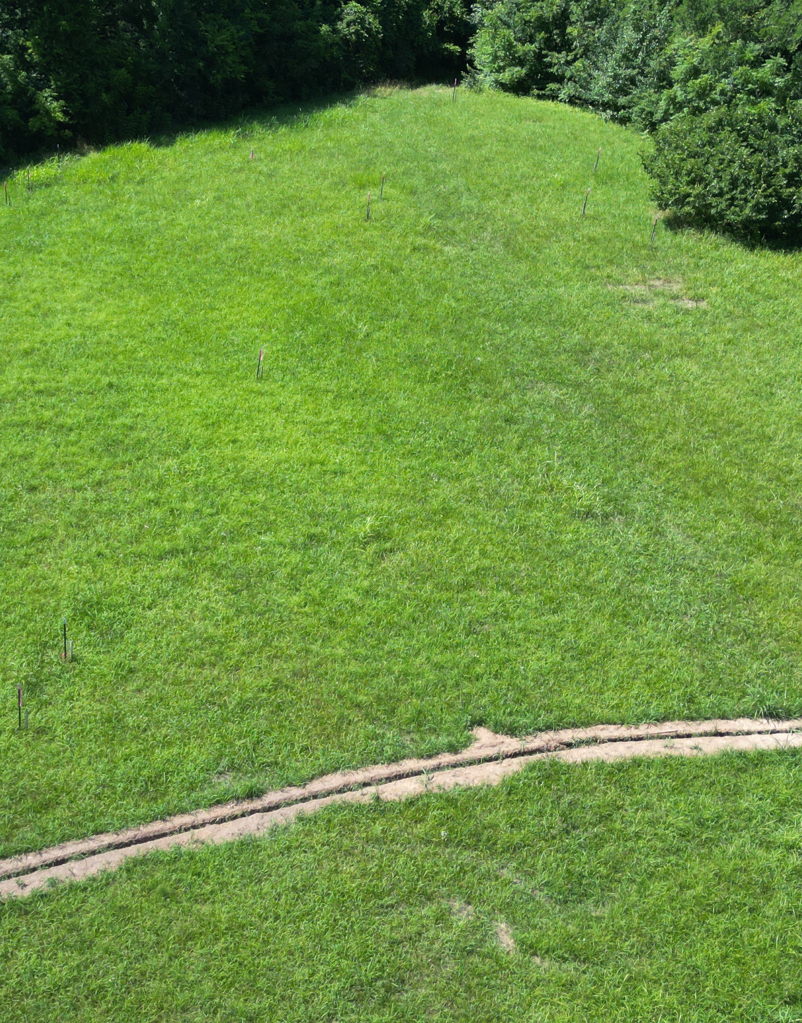 DJI_0360_1751575654.JPG